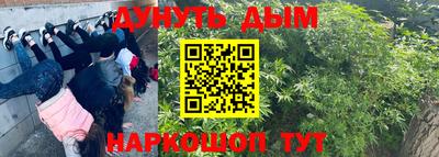 гашиш Новодвинск