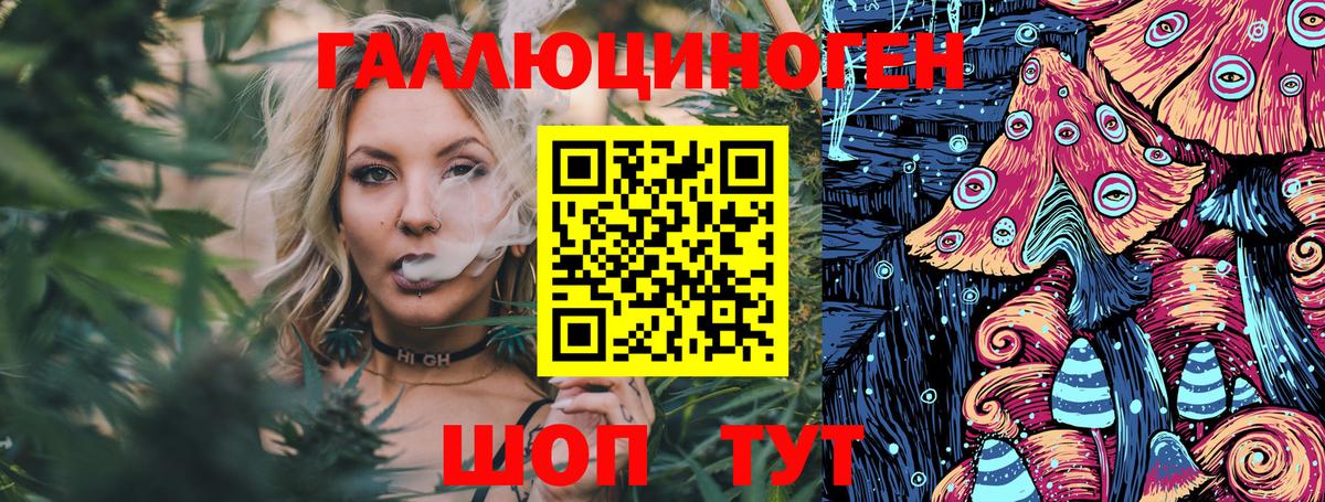 Галлюциногенные грибы GOLDEN TEACHER  Галлюциногенные грибы GOLDEN TEACHER  Вход с VPN  Топки 