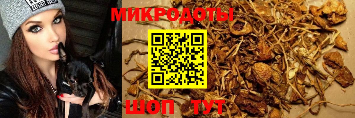 Галлюциногенные грибы мухоморы Топки